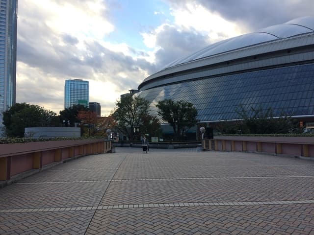 社説　WBC（ワールドベースボールクラシック）の天覧試合があるのに、Netflix（ネトフリ）でしか見れないというのは、まずいのではないか